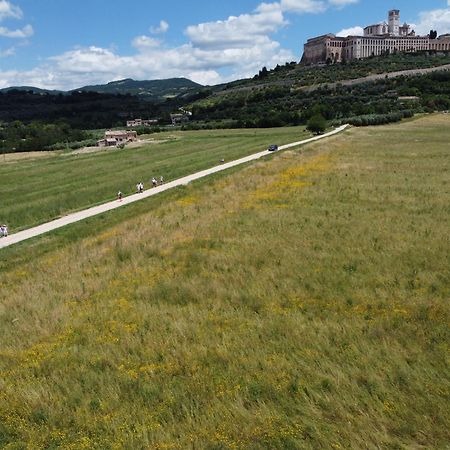 Agriturismo Molinella Assisi Eksteriør bilde