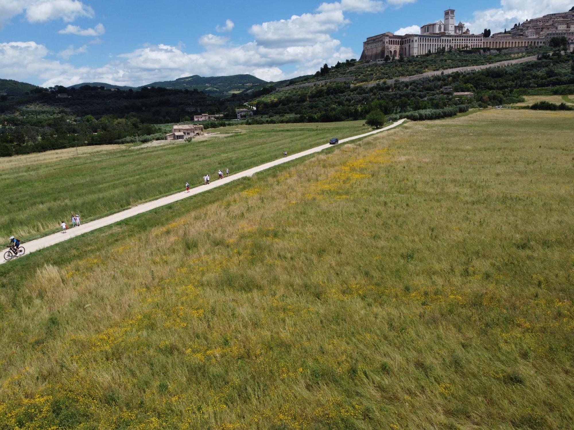 Agriturismo Molinella Assisi Eksteriør bilde